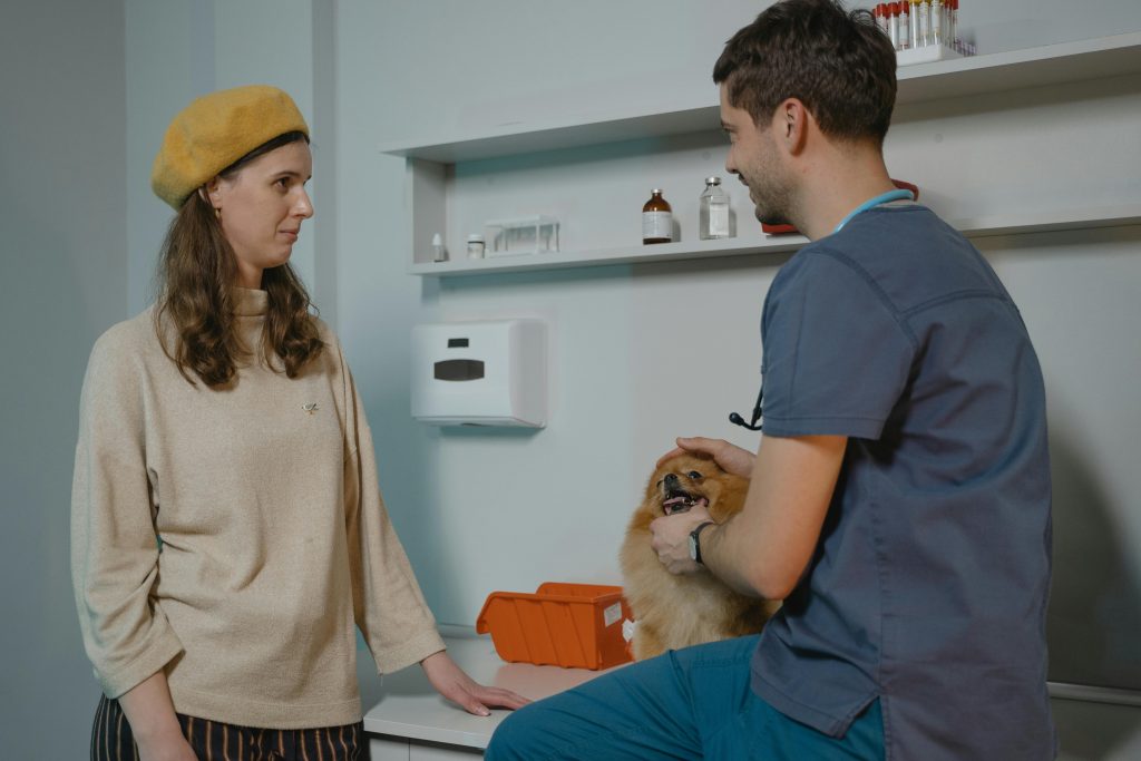 Une femme discute avec un vétérinaire dans une salle d’examen, pendant qu’il tient un petit chien brun posé sur la table.